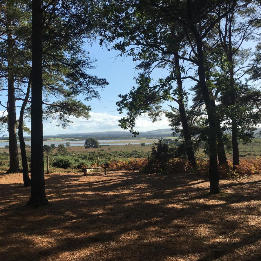 Spurwing Guest House Wareham Εξωτερικό φωτογραφία